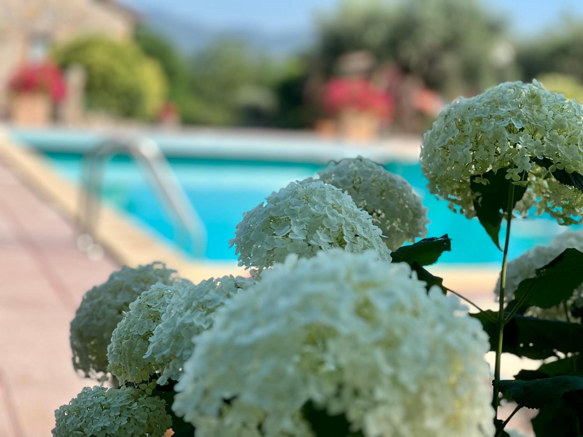Le Case Di Lisetta Holiday Homes Corciano Kültér fotó