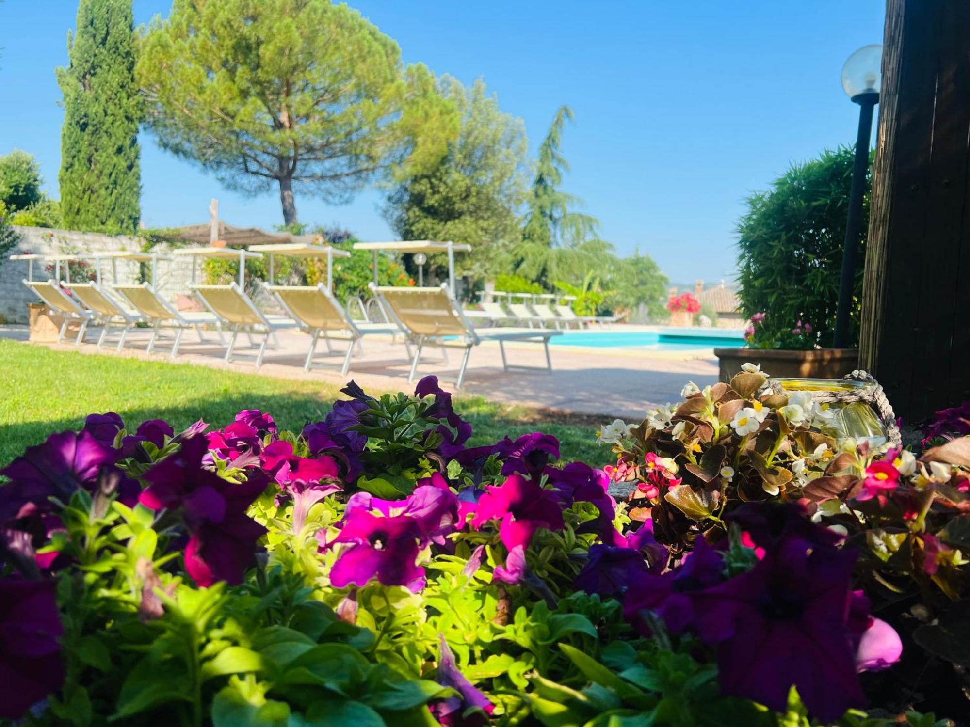 Le Case Di Lisetta Holiday Homes Corciano Kültér fotó