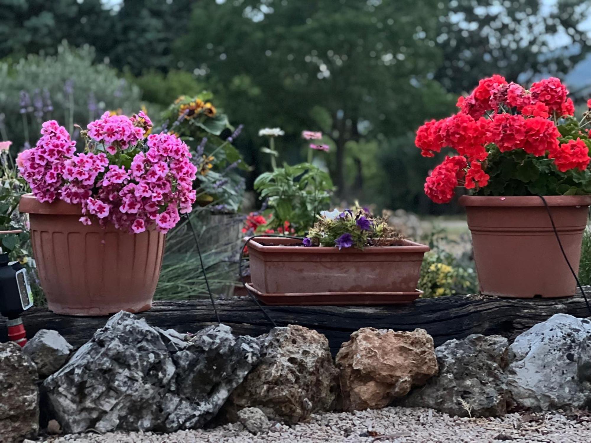 Le Case Di Lisetta Holiday Homes Corciano Kültér fotó