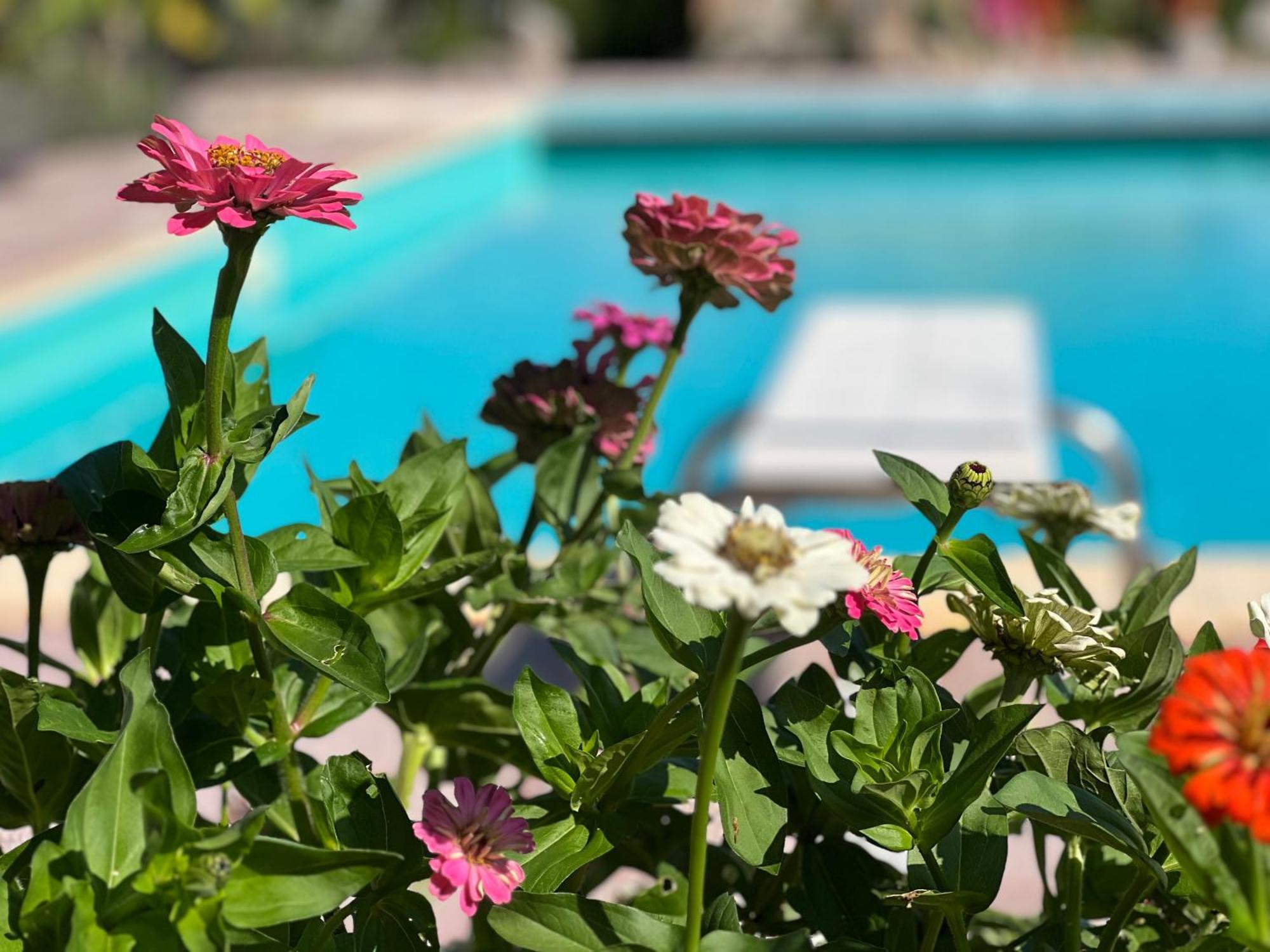 Le Case Di Lisetta Holiday Homes Corciano Kültér fotó