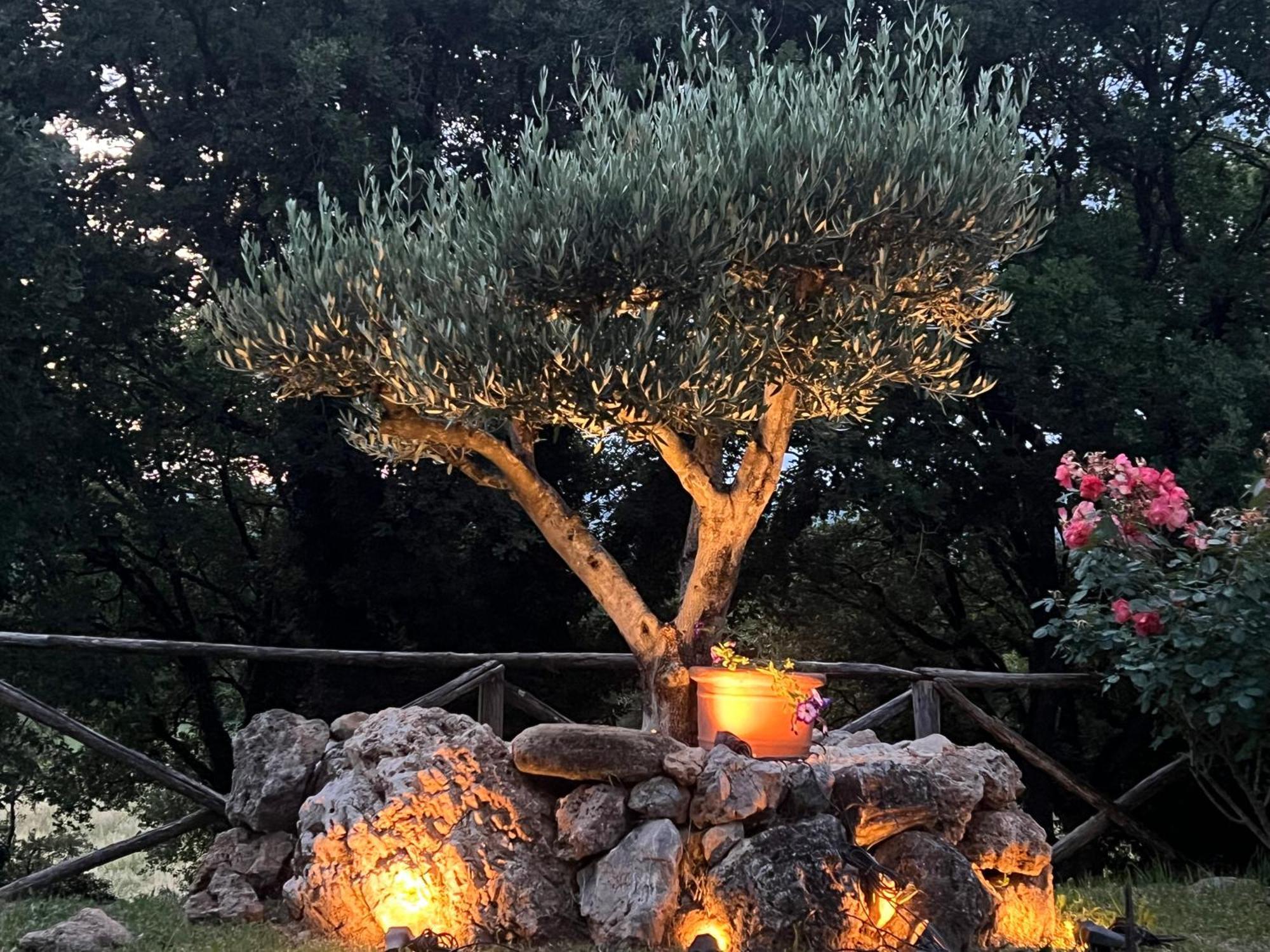 Le Case Di Lisetta Holiday Homes Corciano Kültér fotó